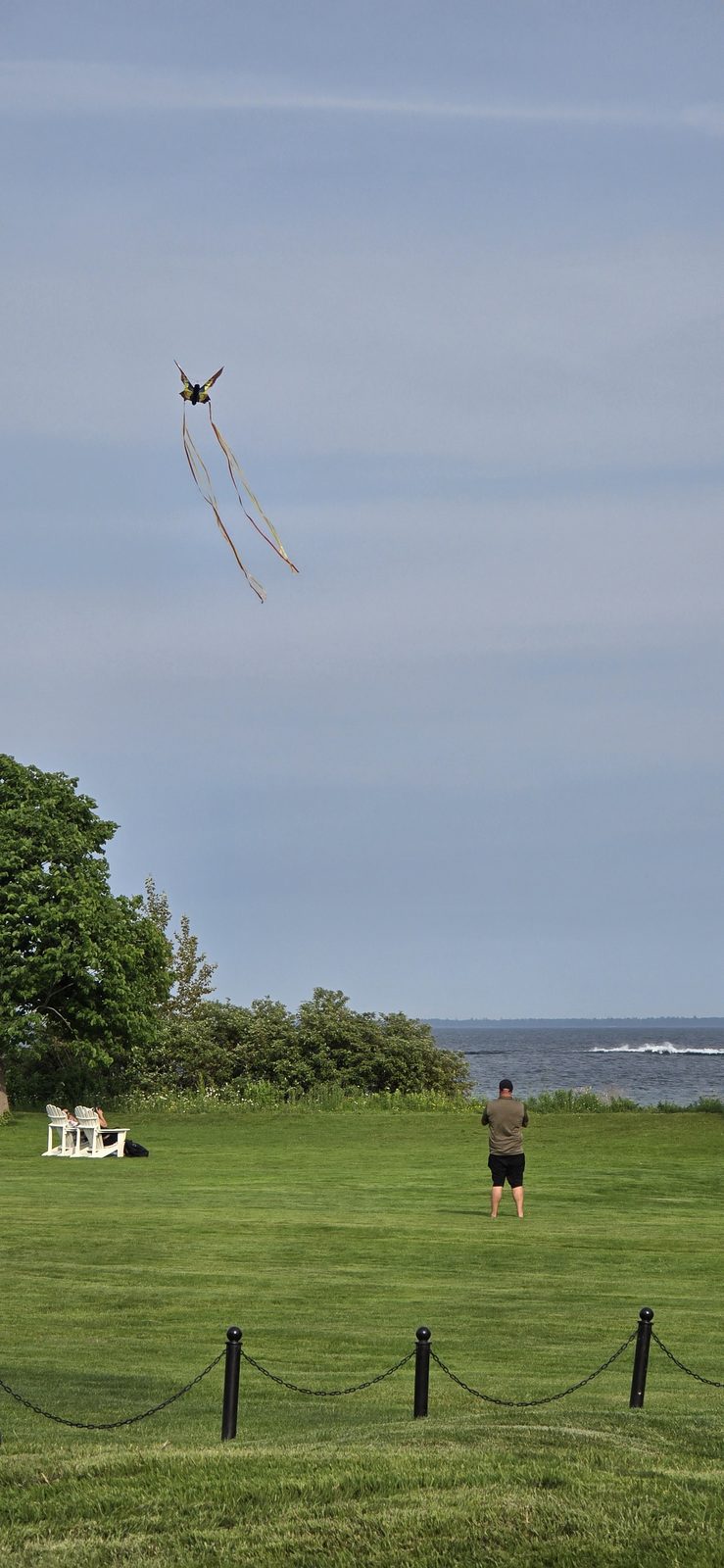 A kite over the lawn at Mission Point