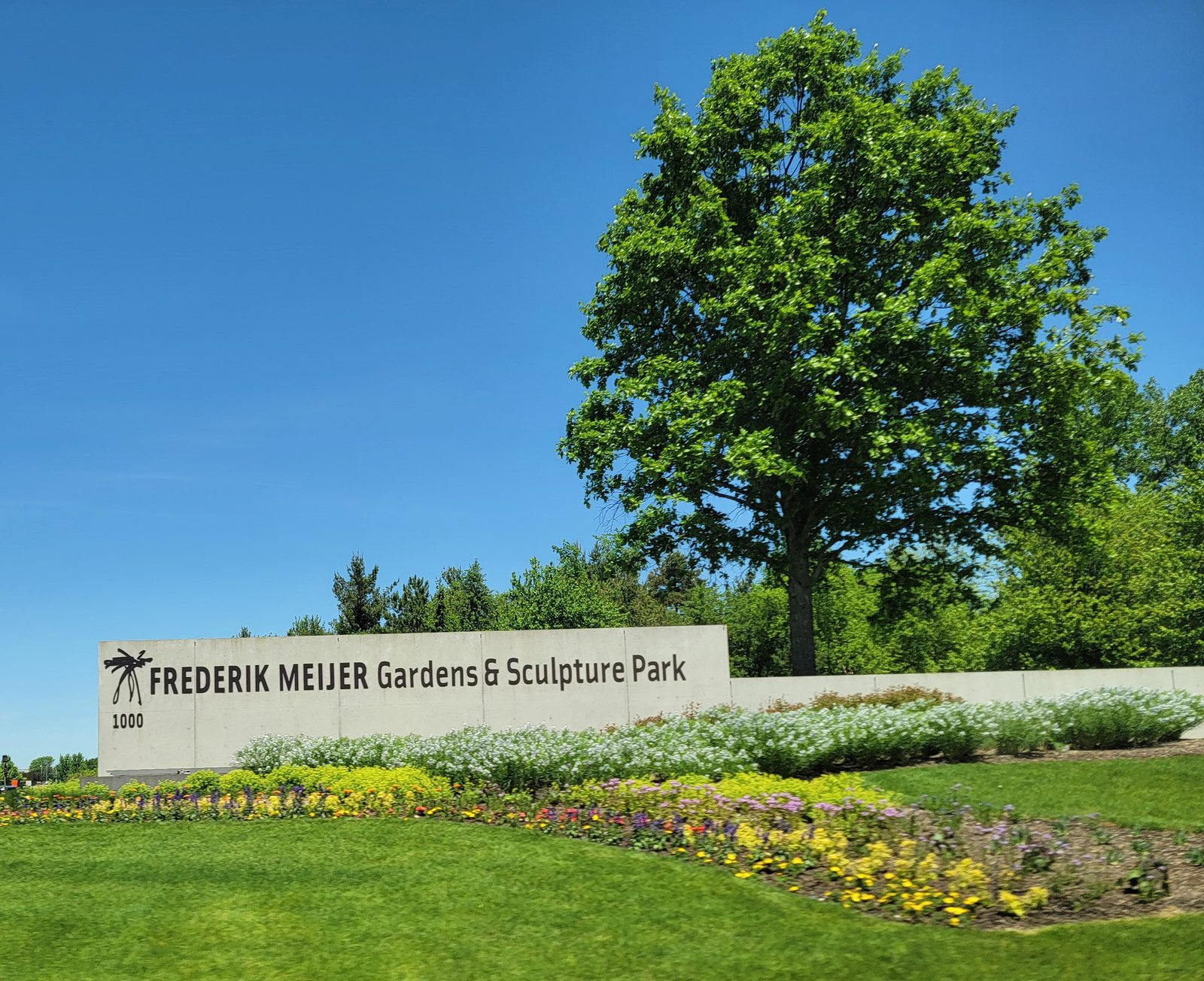 Arriving at the gardens