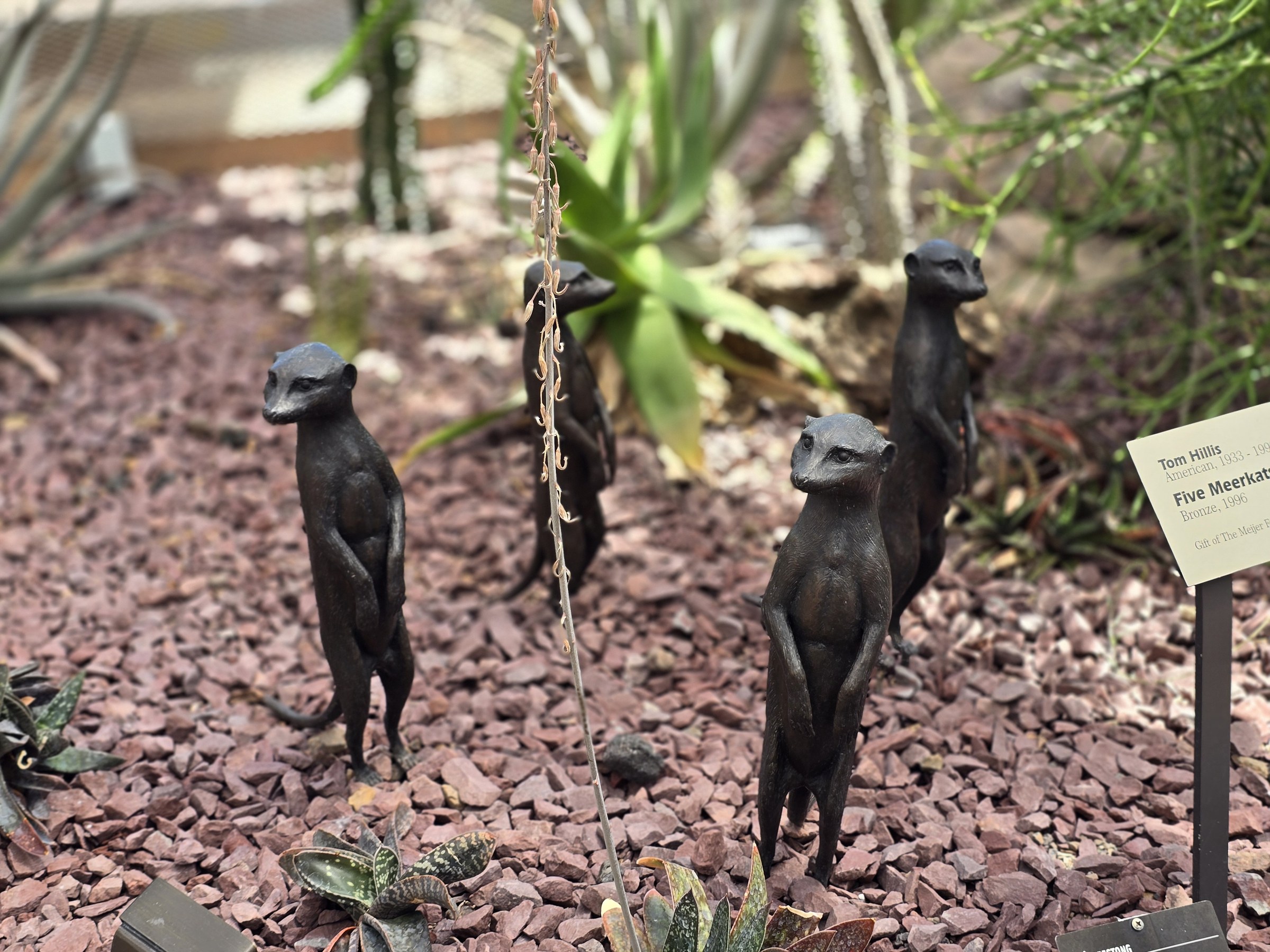 Bronze meerkats in the conservatory