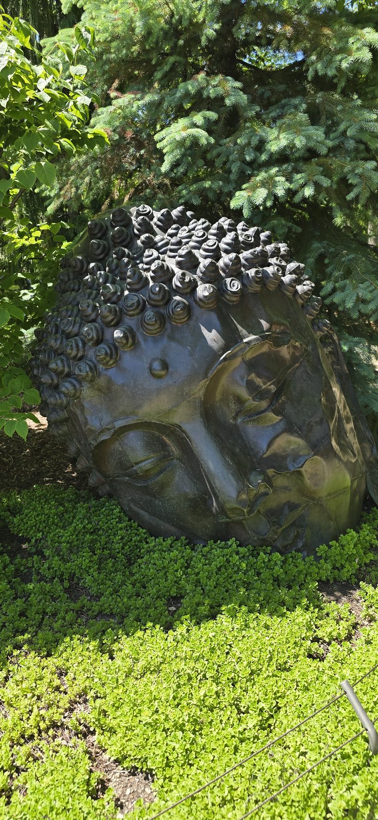 A sculpted head resting in the greenery