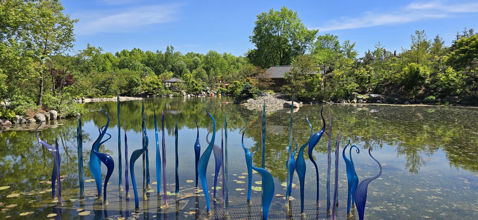 Chihuly glass in the reflecting pond