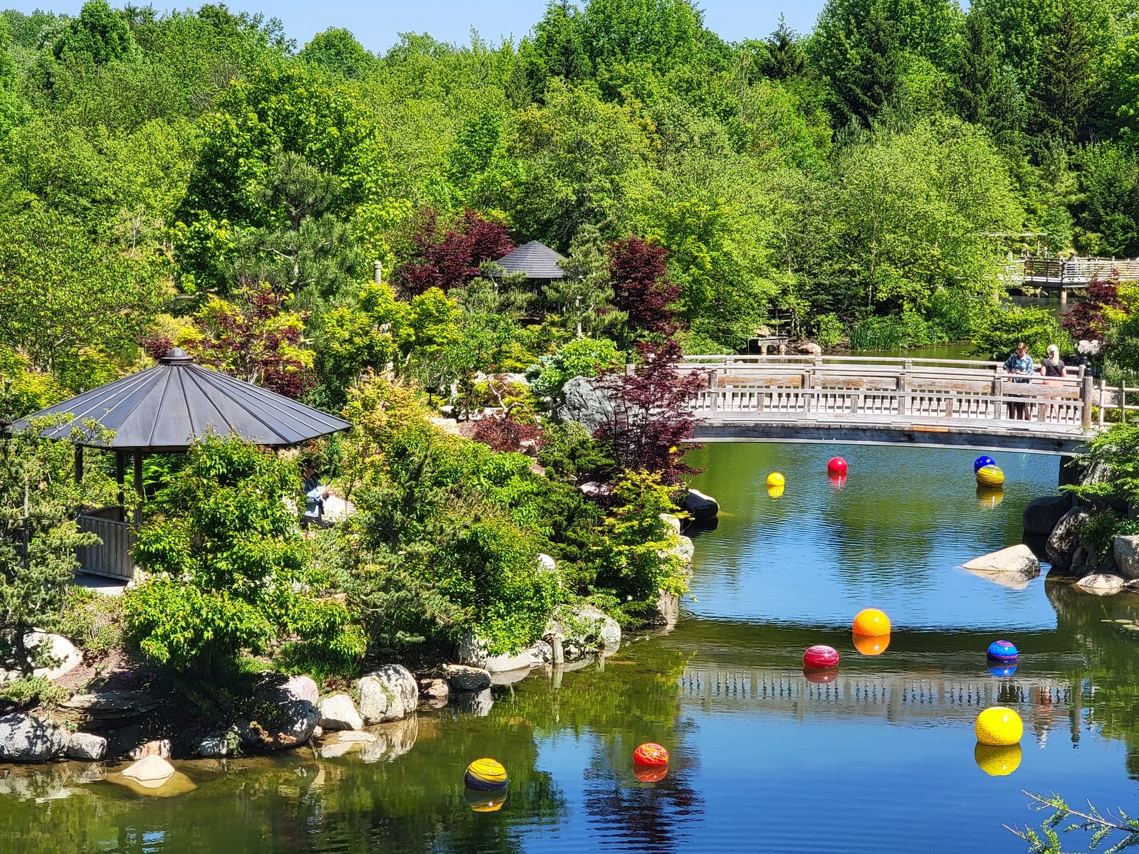The Japanese garden pond from above