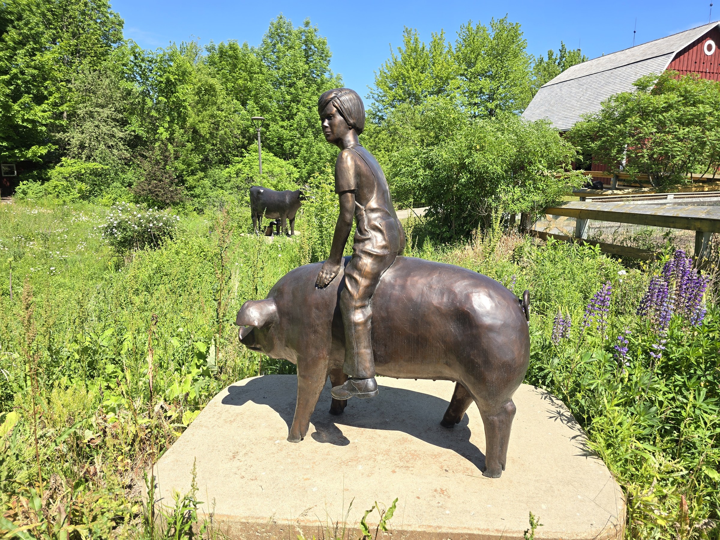 A bronze boy riding a pig at the farm garden