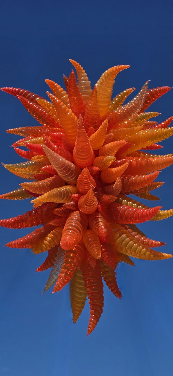 A Chihuly glass sculpture against the sky