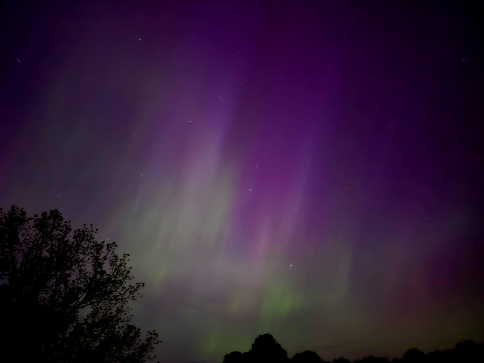 Green and purple curtains of the northern lights