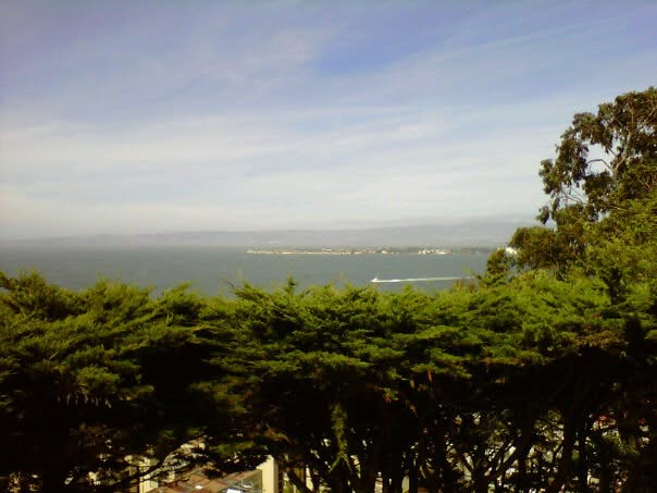 The view from Coit Tower