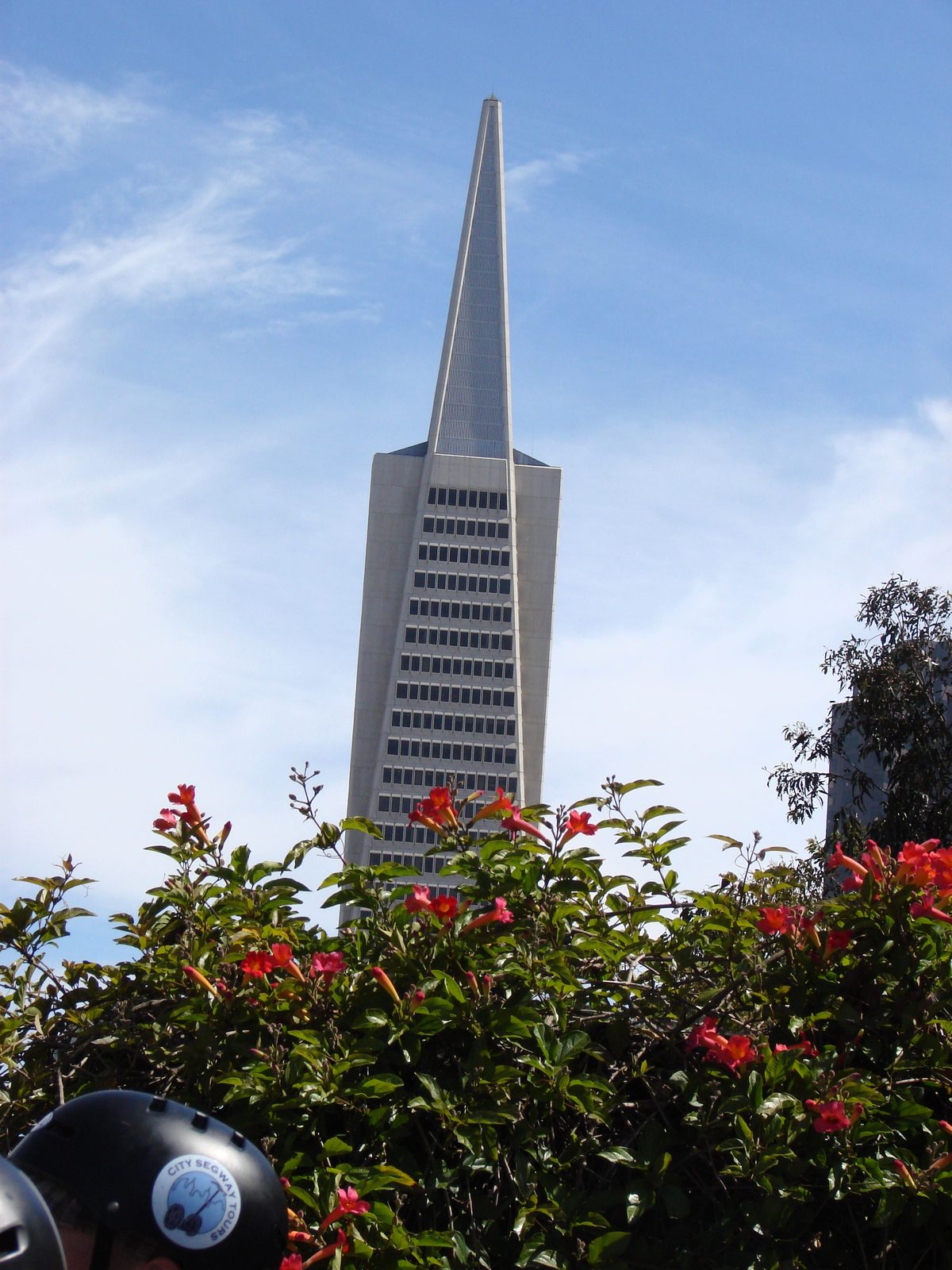 The Transamerica Pyramid past the flowers