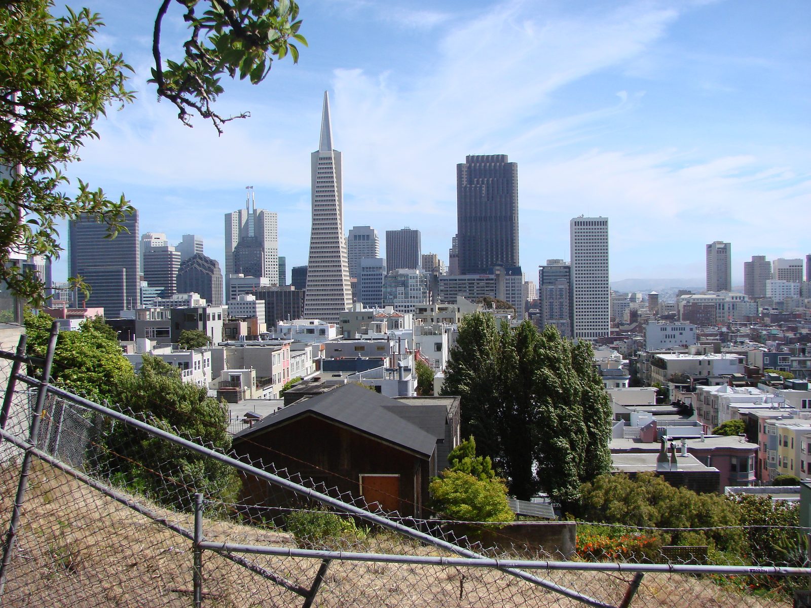 The Transamerica Pyramid from Telegraph Hill