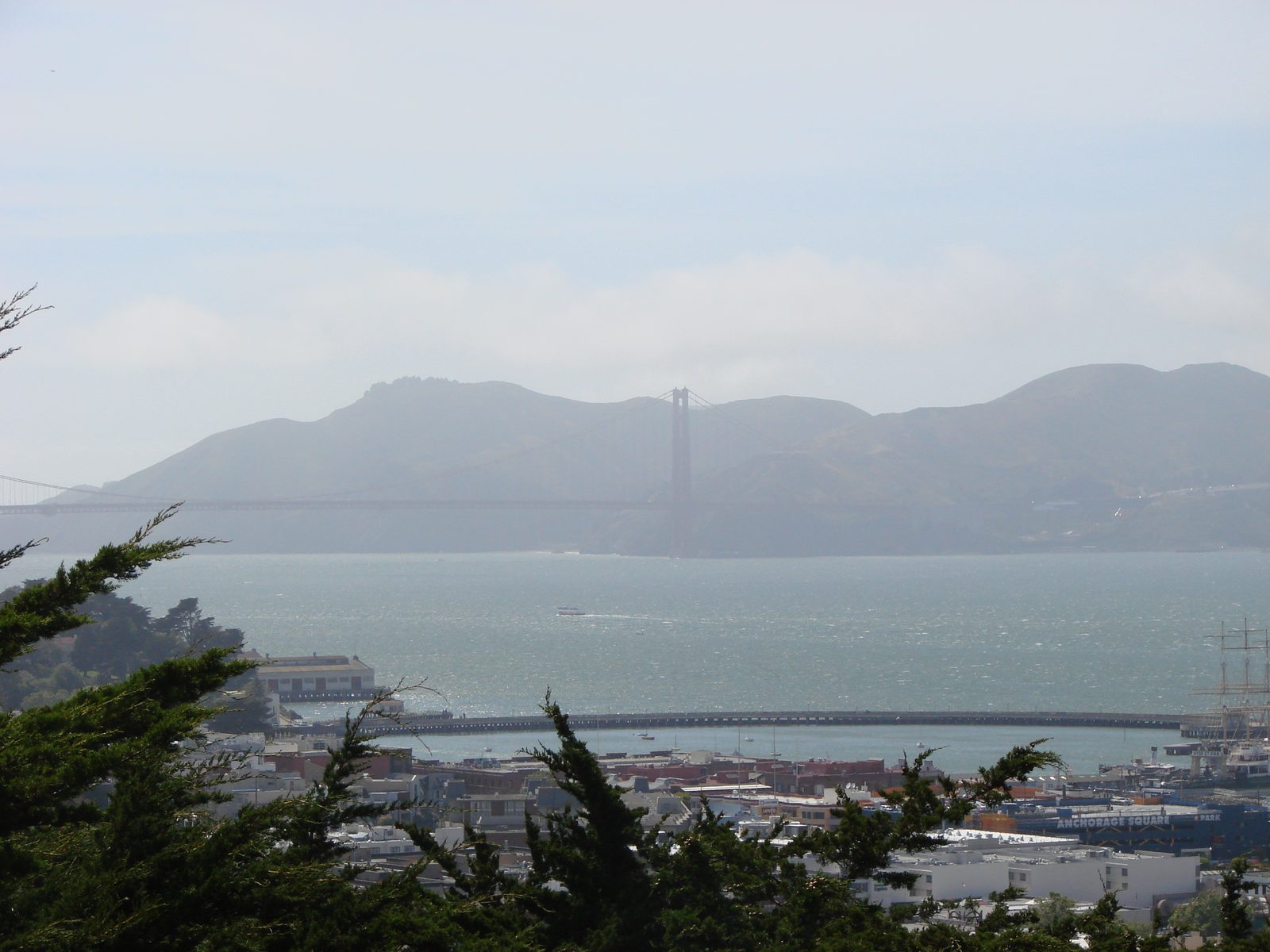 San Francisco (Kathy)