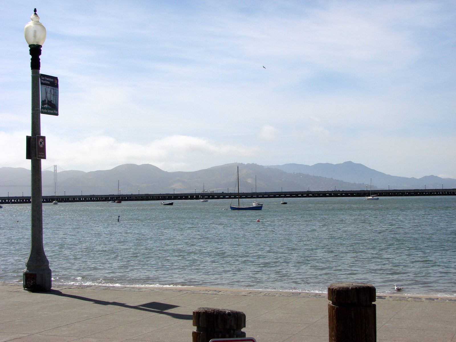 Sailboats along the San Francisco waterfront