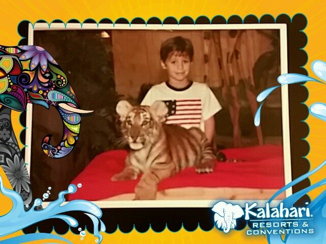 The framed photo of Thomas with the tiger cub