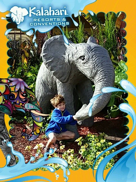 Thomas reaches for the elephant's trunk
