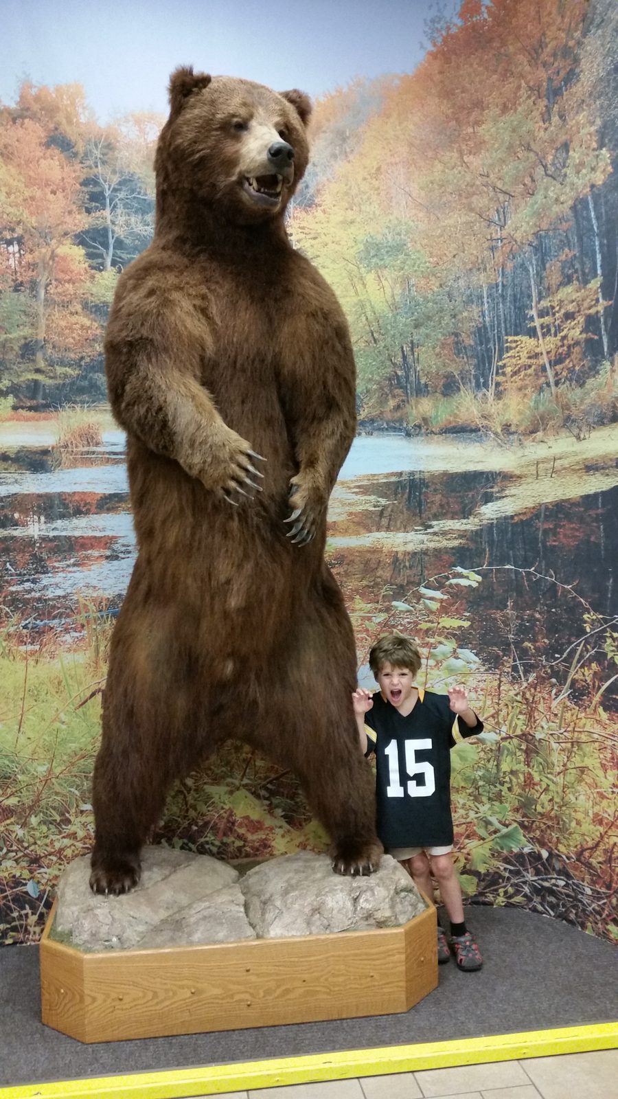 Thomas by the grizzly at Scheels