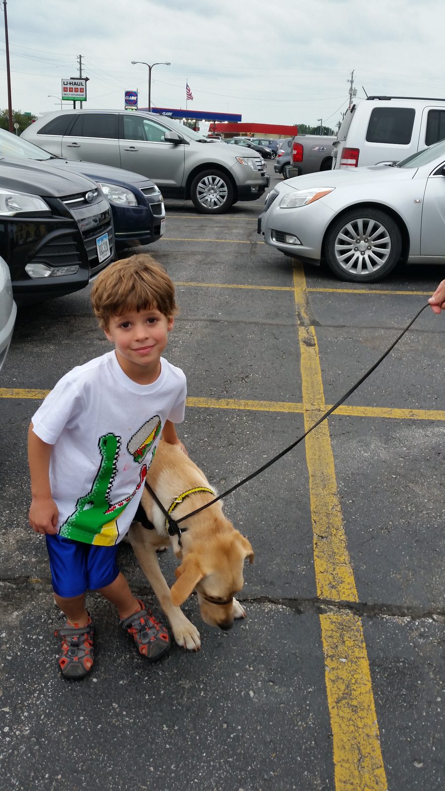 Thomas pets the yellow Labrador service dog