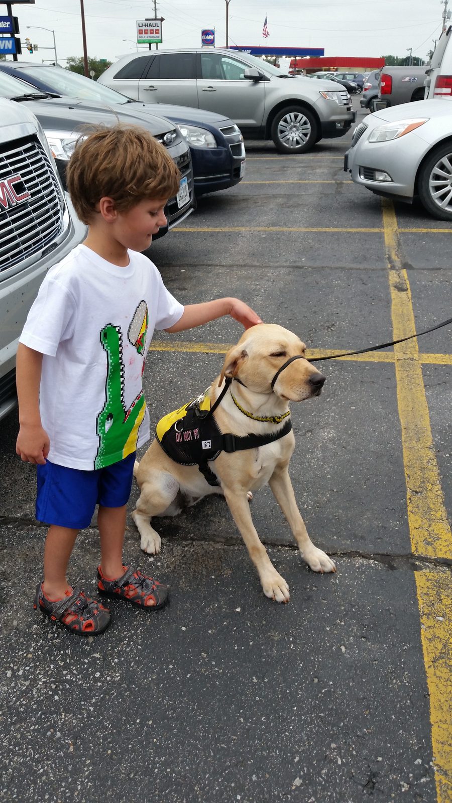 Thomas makes a new furry friend