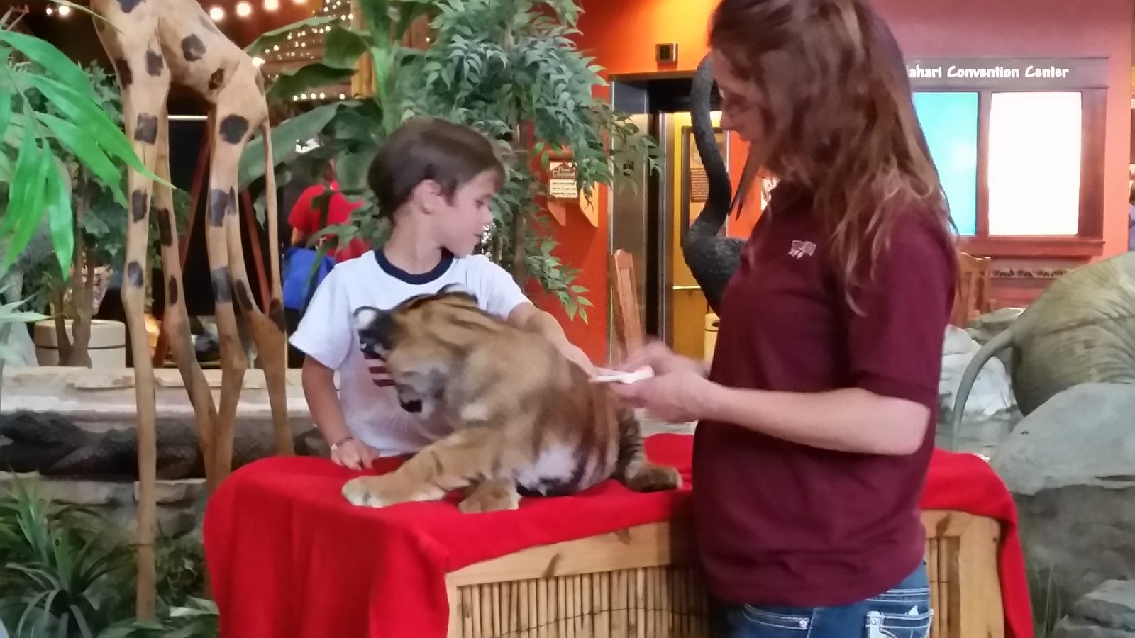 Thomas petting a tiger cub at Kalahari