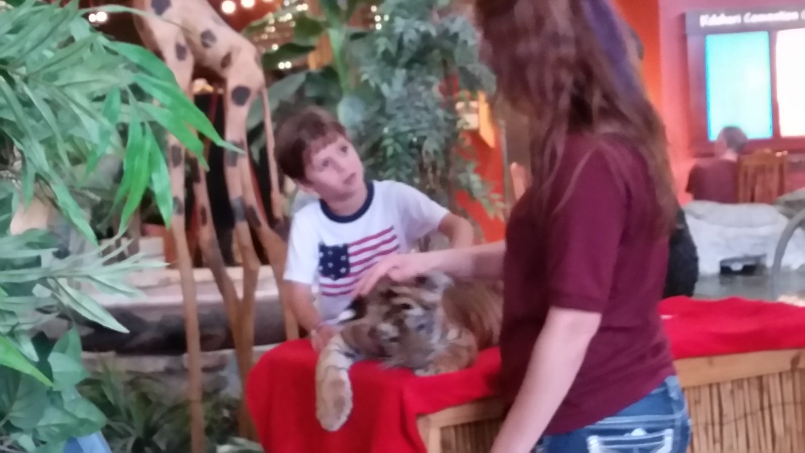 Thomas pets a tiger cub during an animal encounter