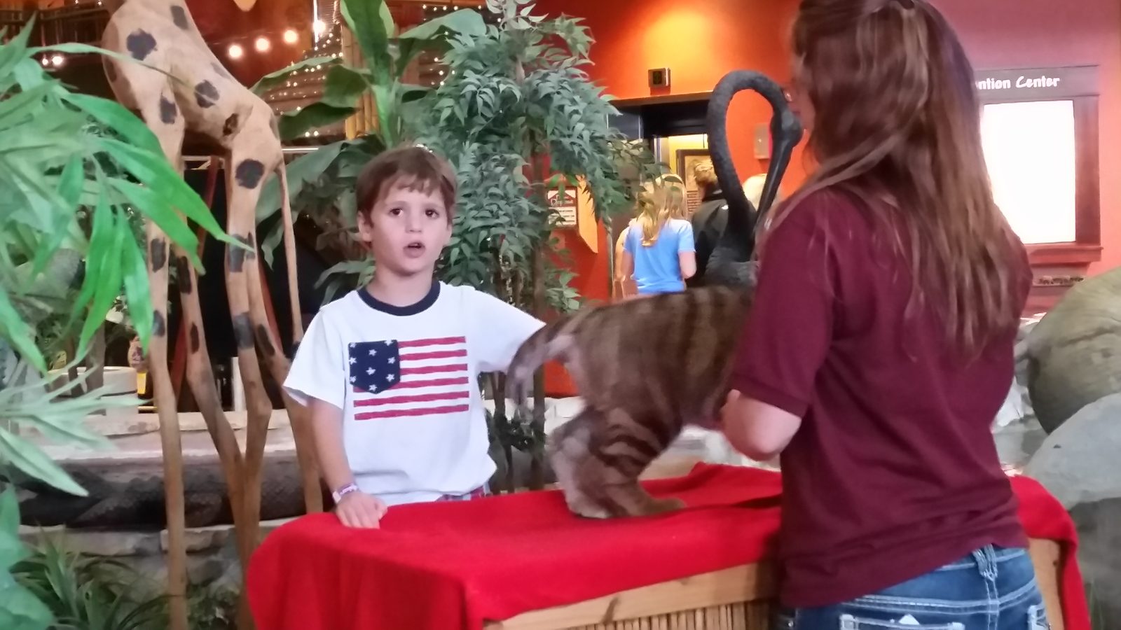 Thomas watches the tiger cub get set up for photos