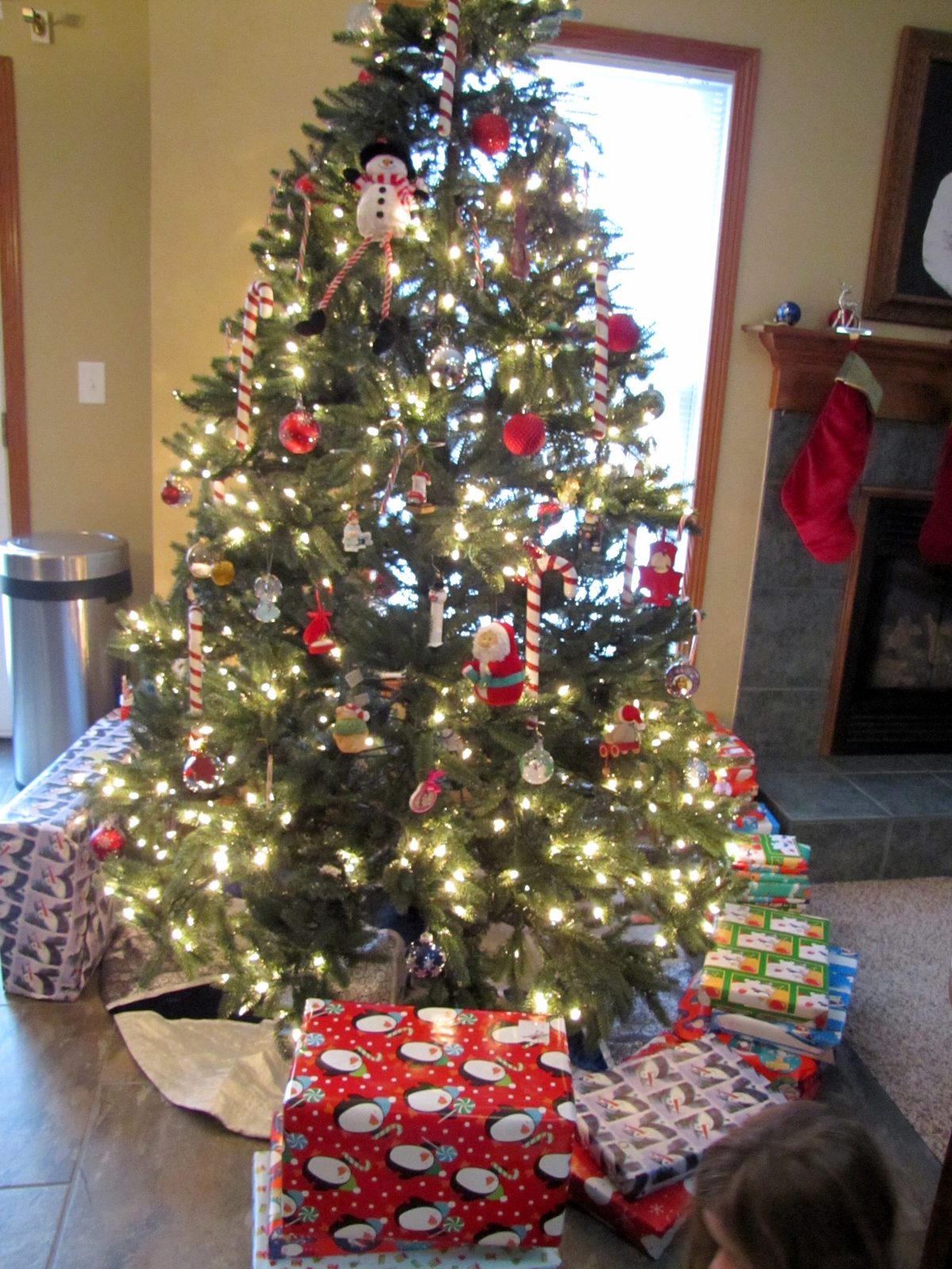 Presents wait under the tree at home