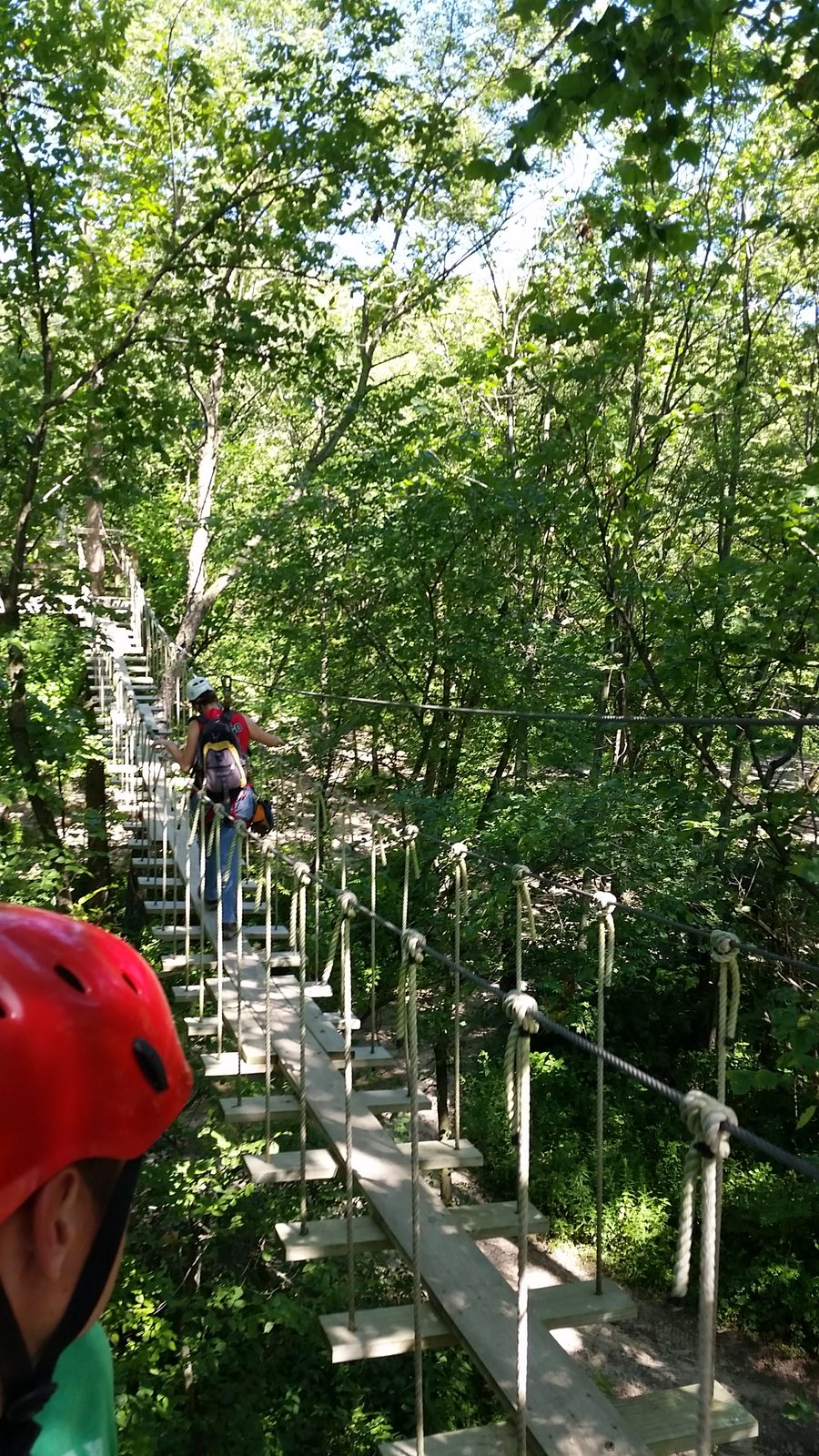 High on the aerial ropes course