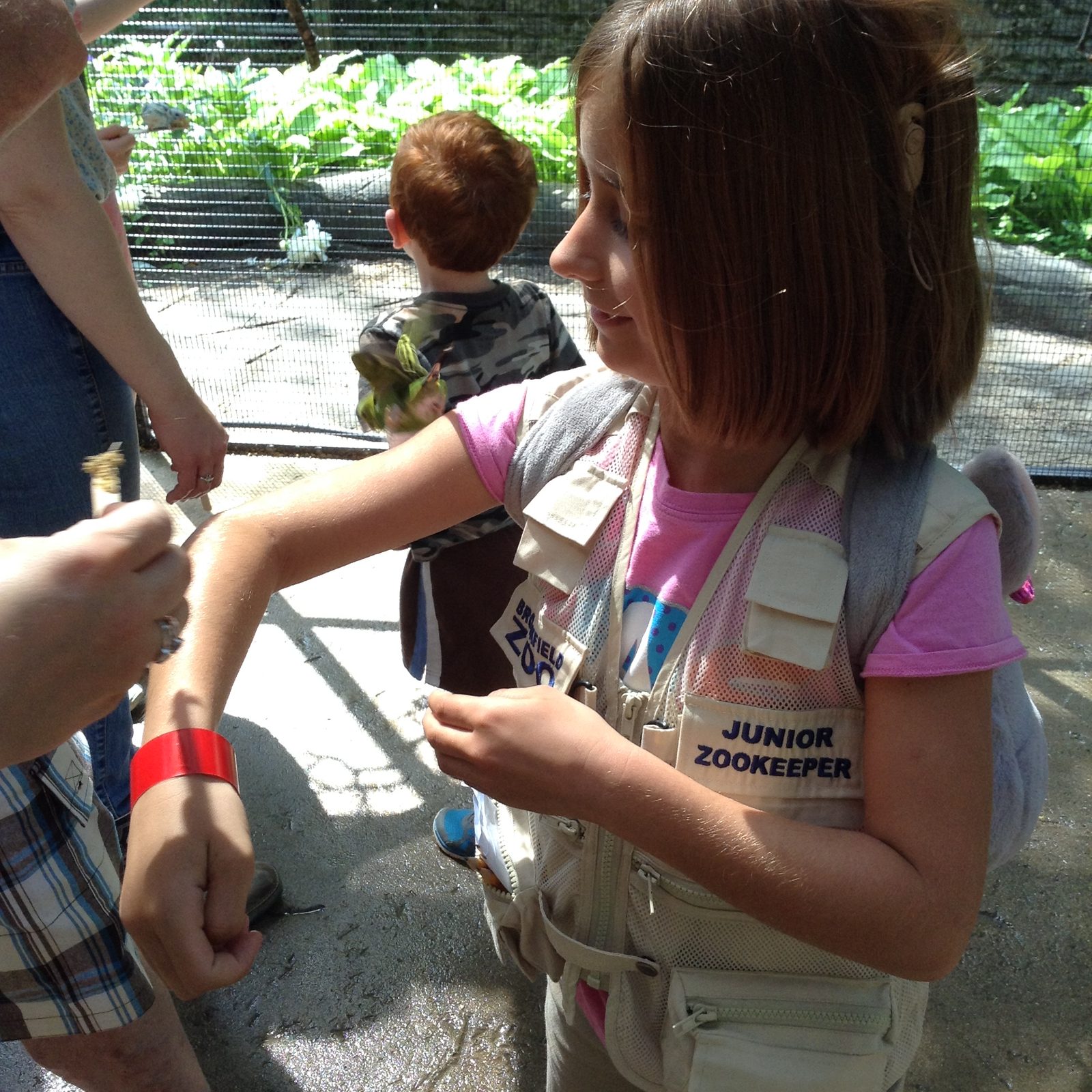 Lisa getting her Junior Zookeeper wristband