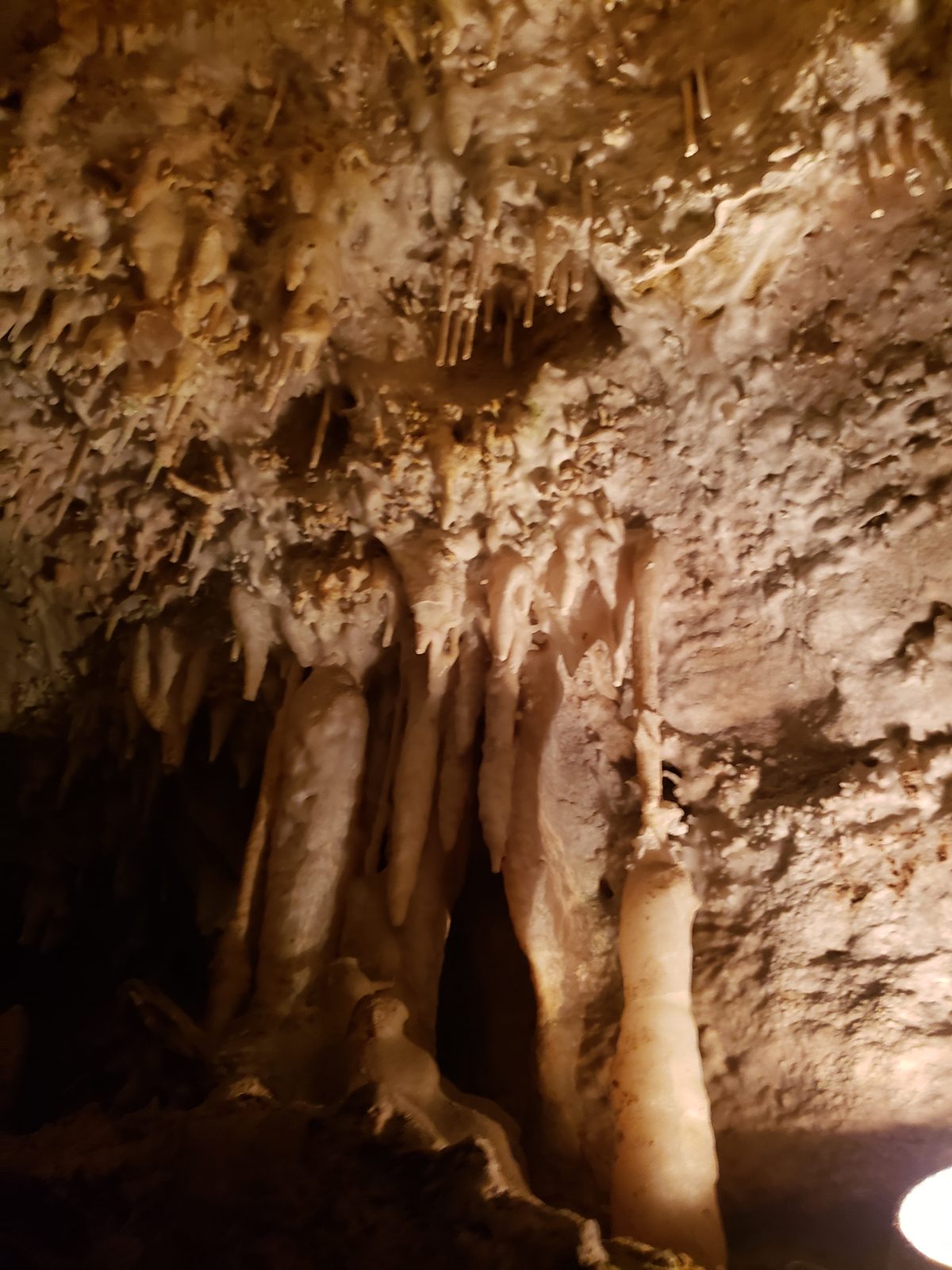 Cave formations at Crystal Lake Cave