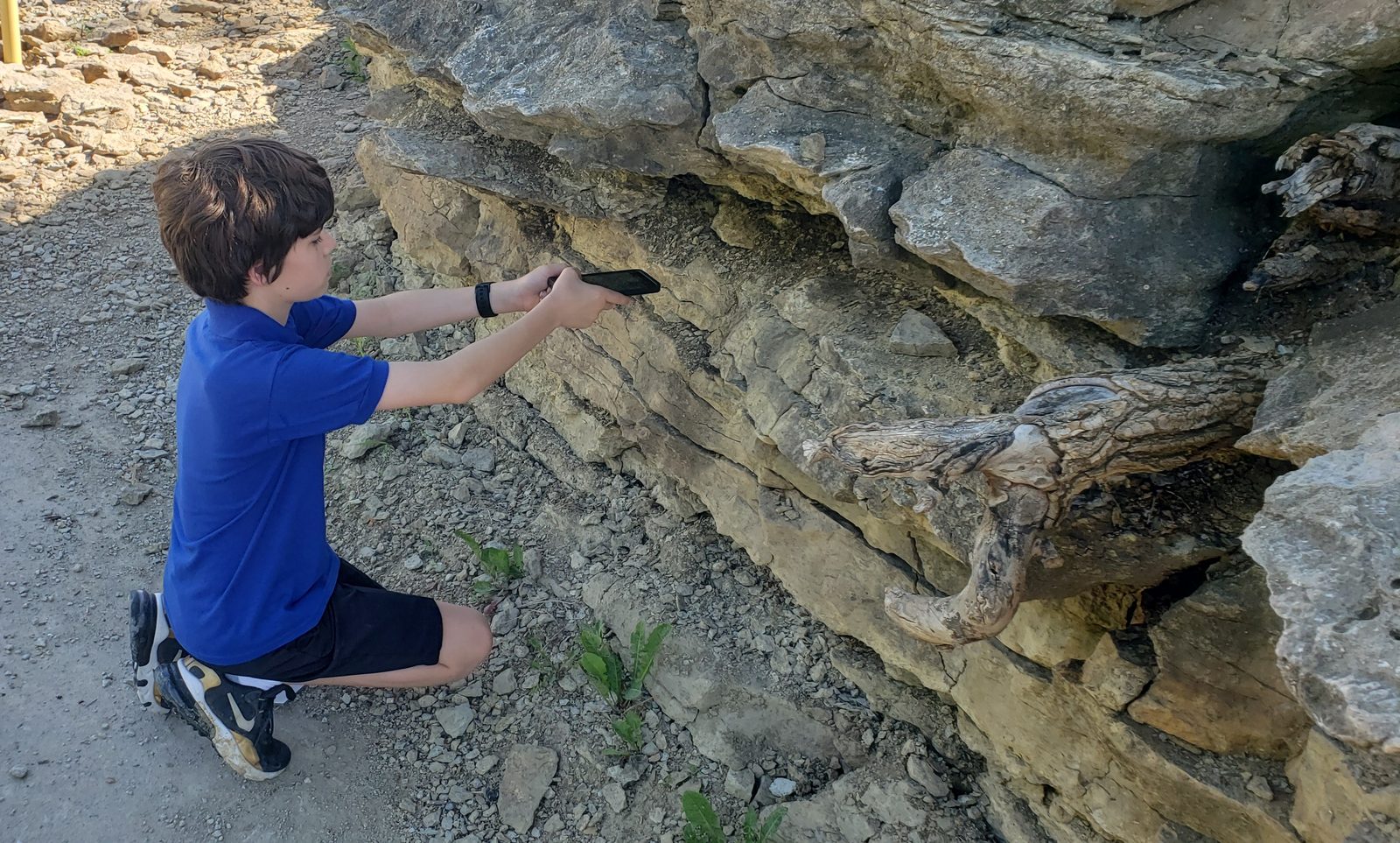 Thomas points out a fossil in the rock