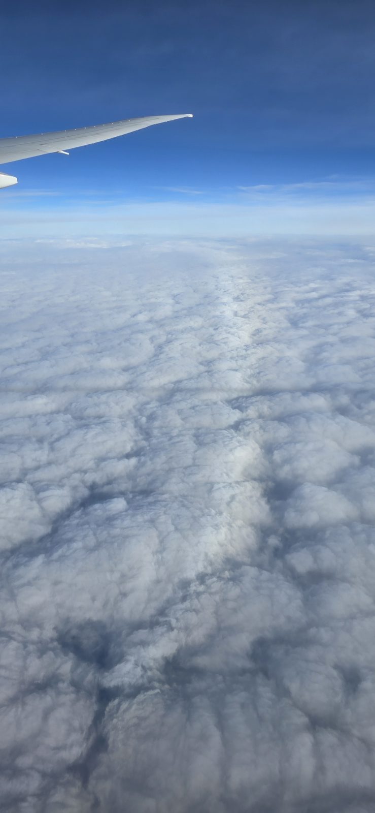 Somewhere over the Pacific on the way to Sydney