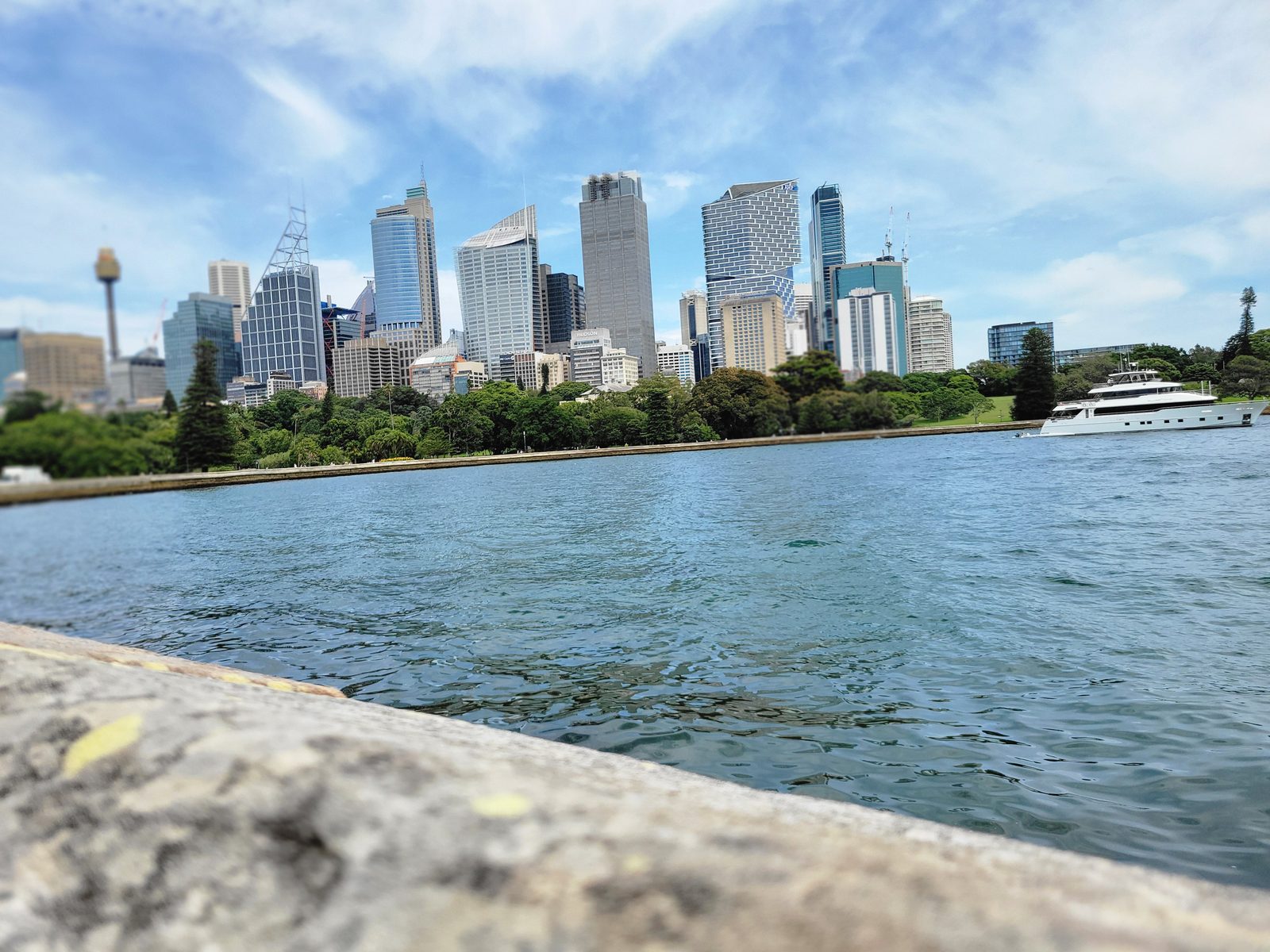 The Sydney skyline across the water