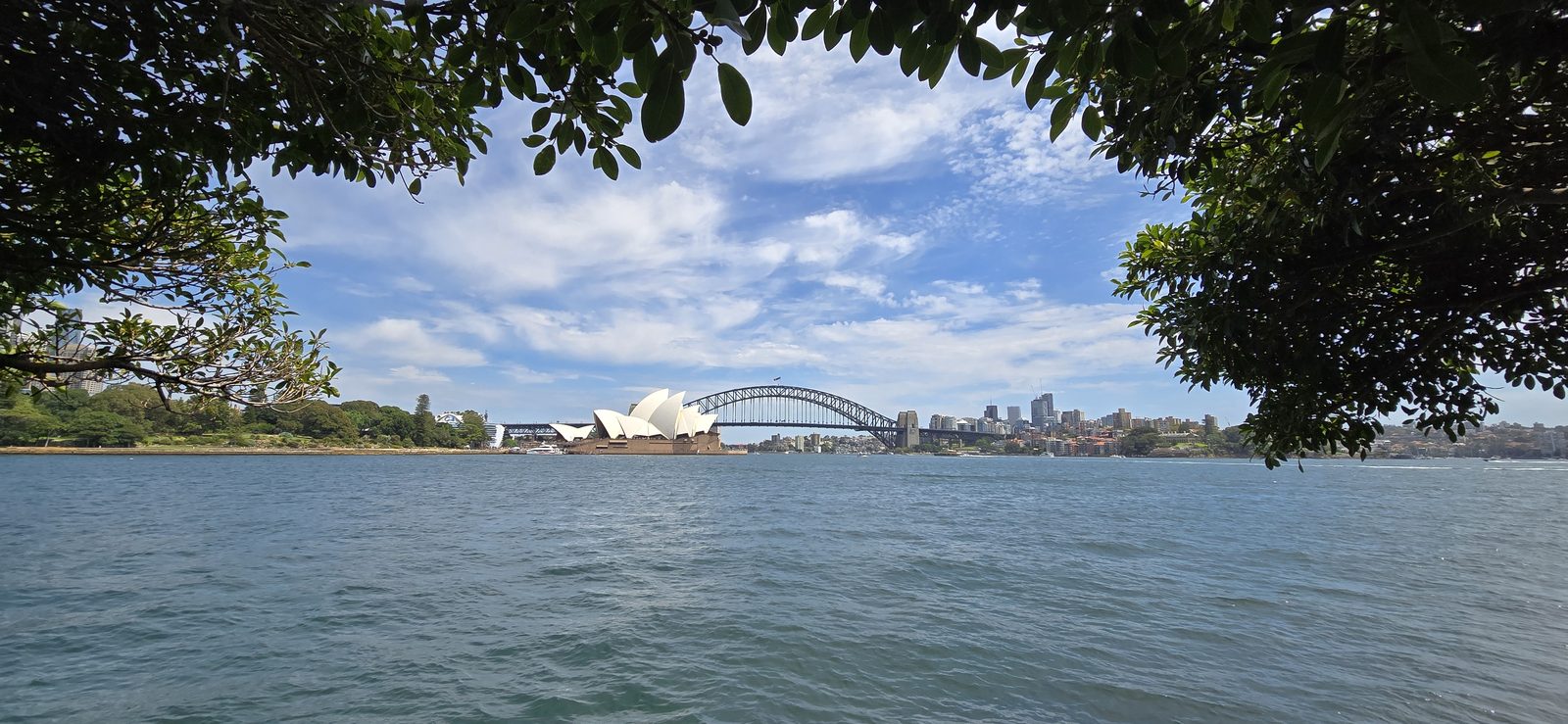 Opera House and bridge through the trees across Farm Cove