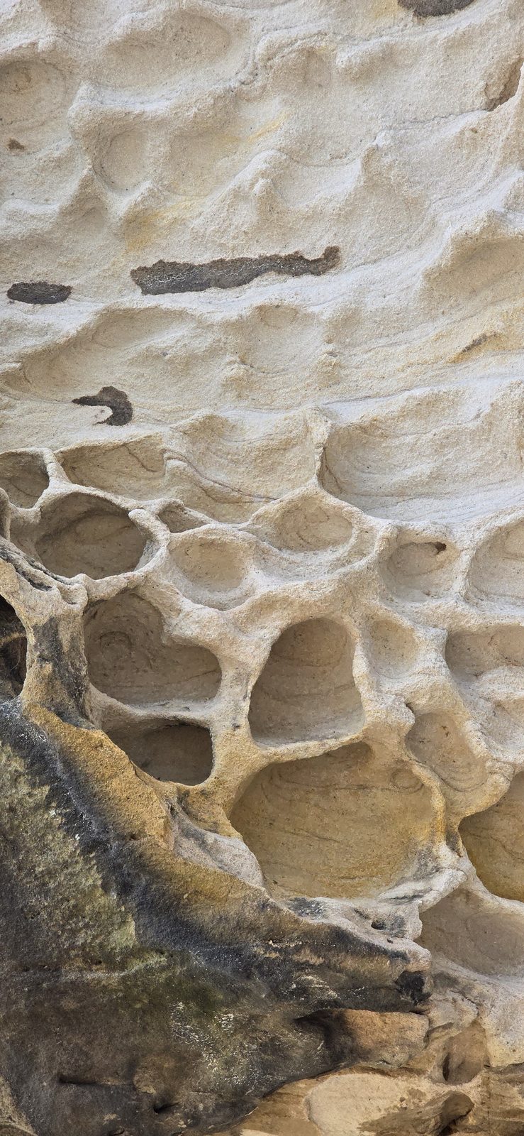 More weathered sandstone honeycomb