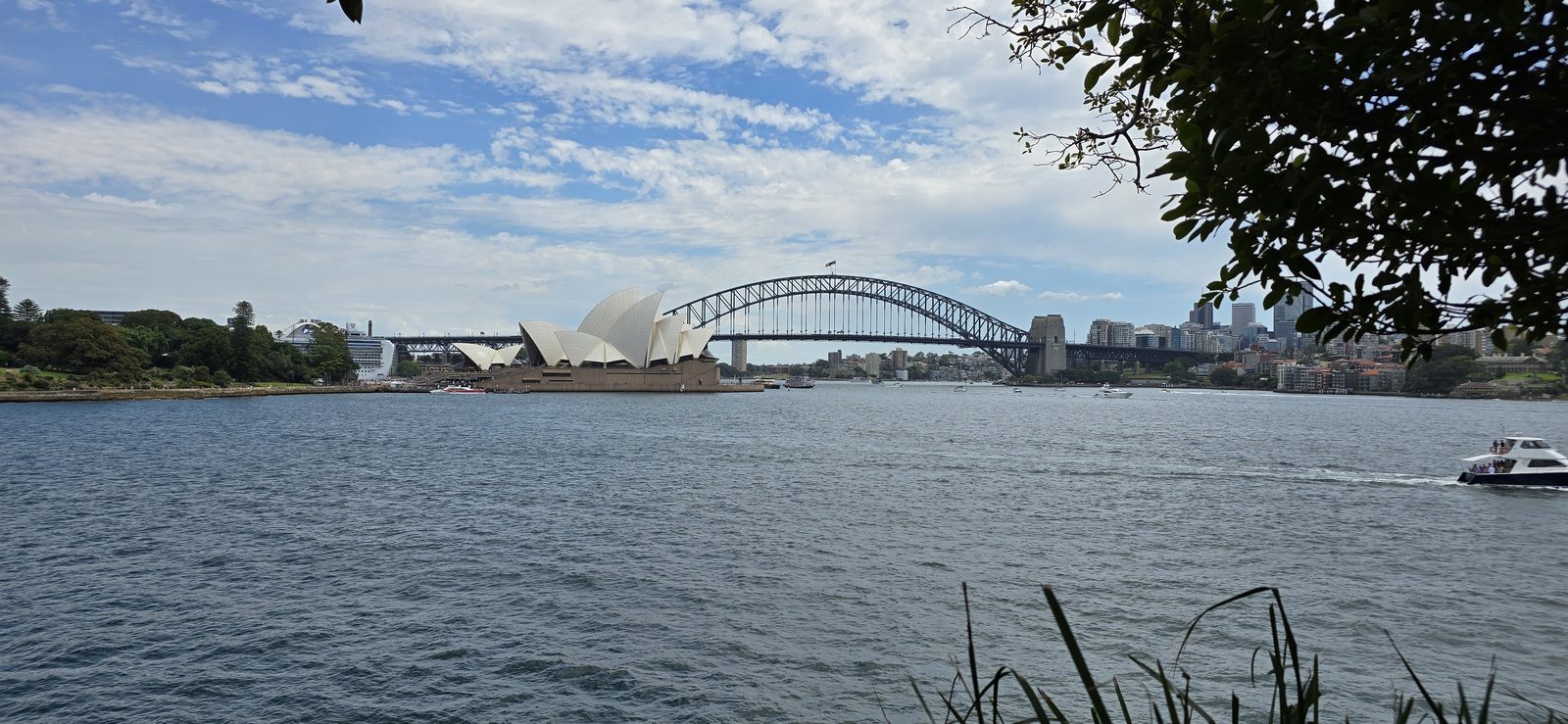 Across Farm Cove to the Opera House and Harbour Bridge