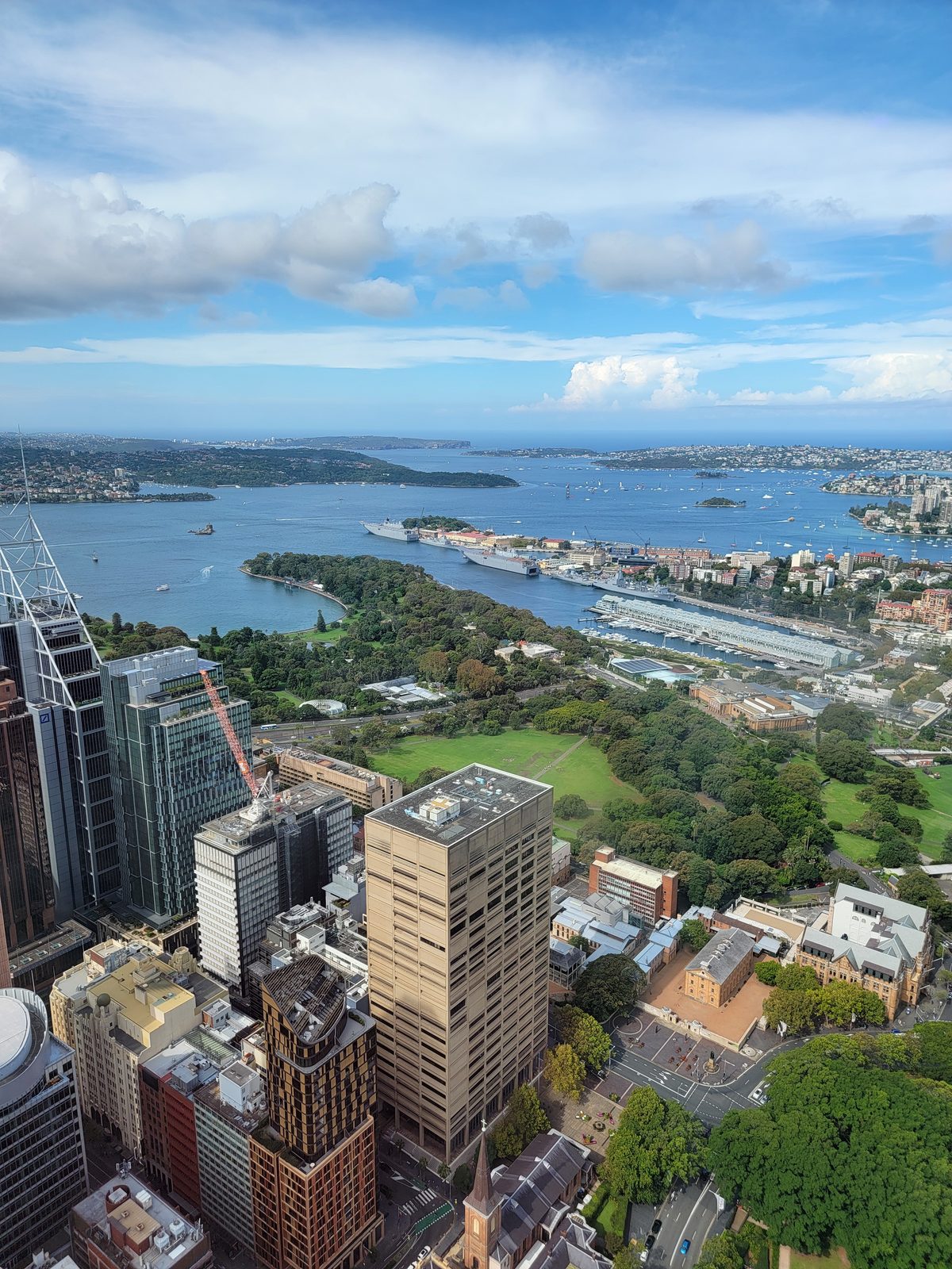 The harbour from the Sydney Tower Eye