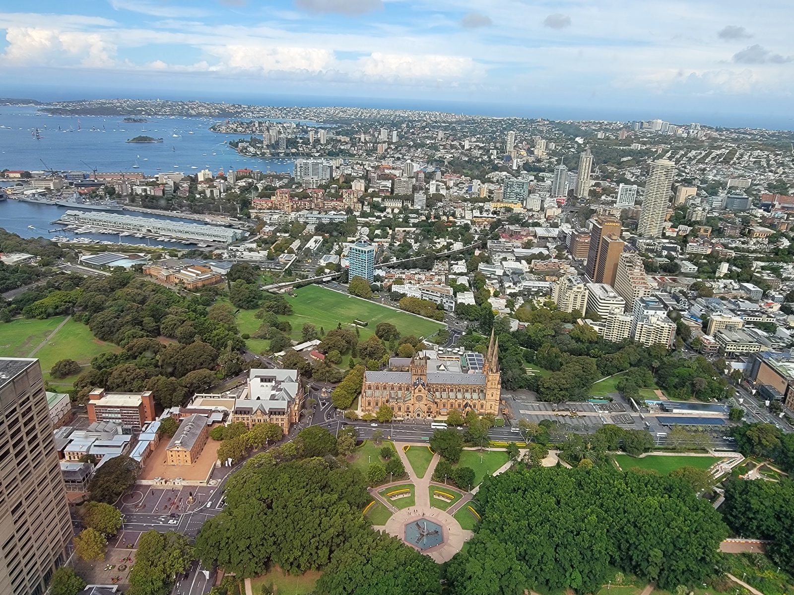 The park and cathedral below the Sydney Tower Eye