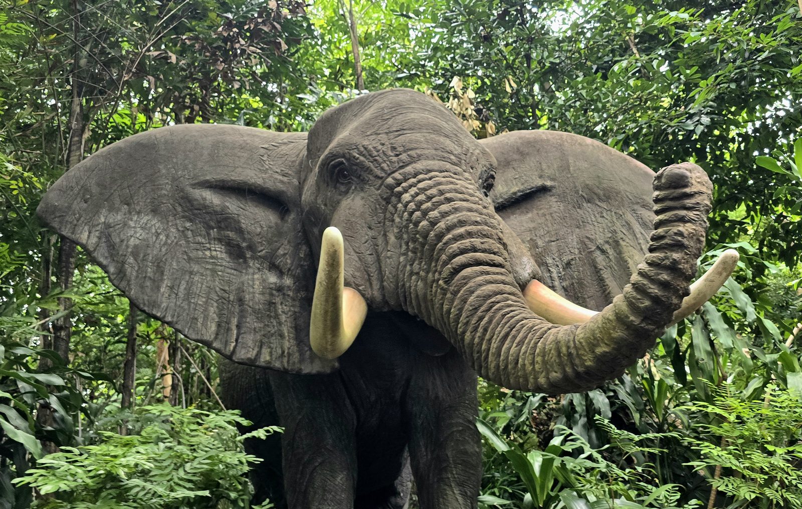 An elephant in the jungle at Hong Kong Disneyland