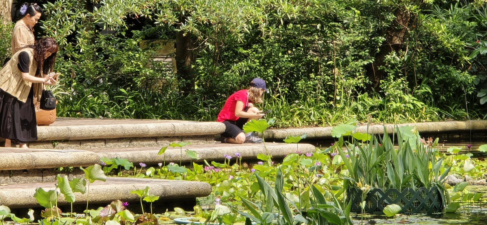Crossing the log bridge over the lily pond