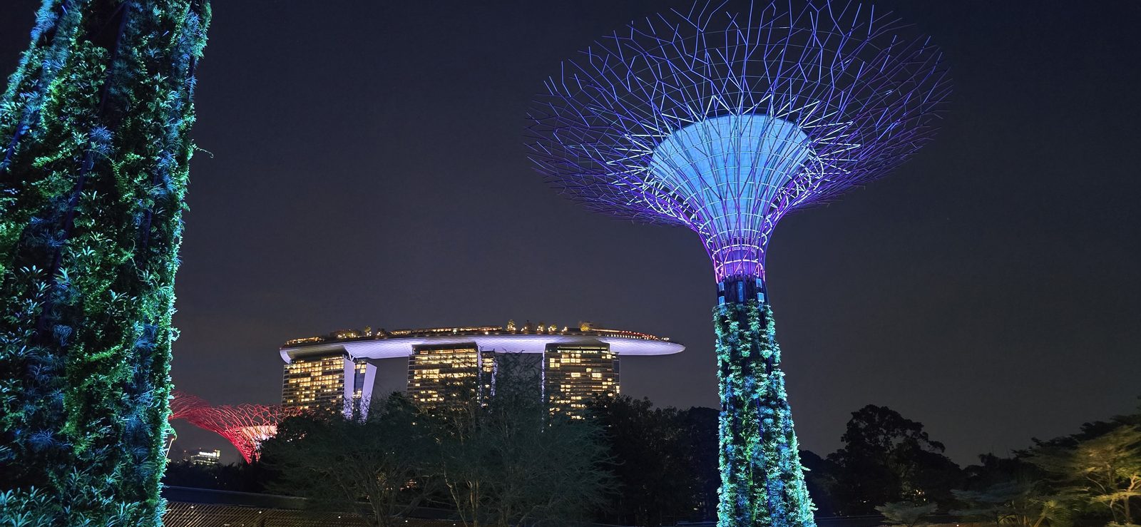 Marina Bay Sands behind the Supertrees at Gardens by the Bay