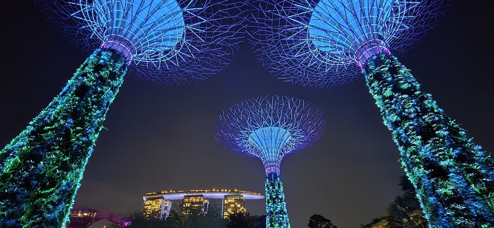 Supertrees and Marina Bay Sands from Gardens by the Bay