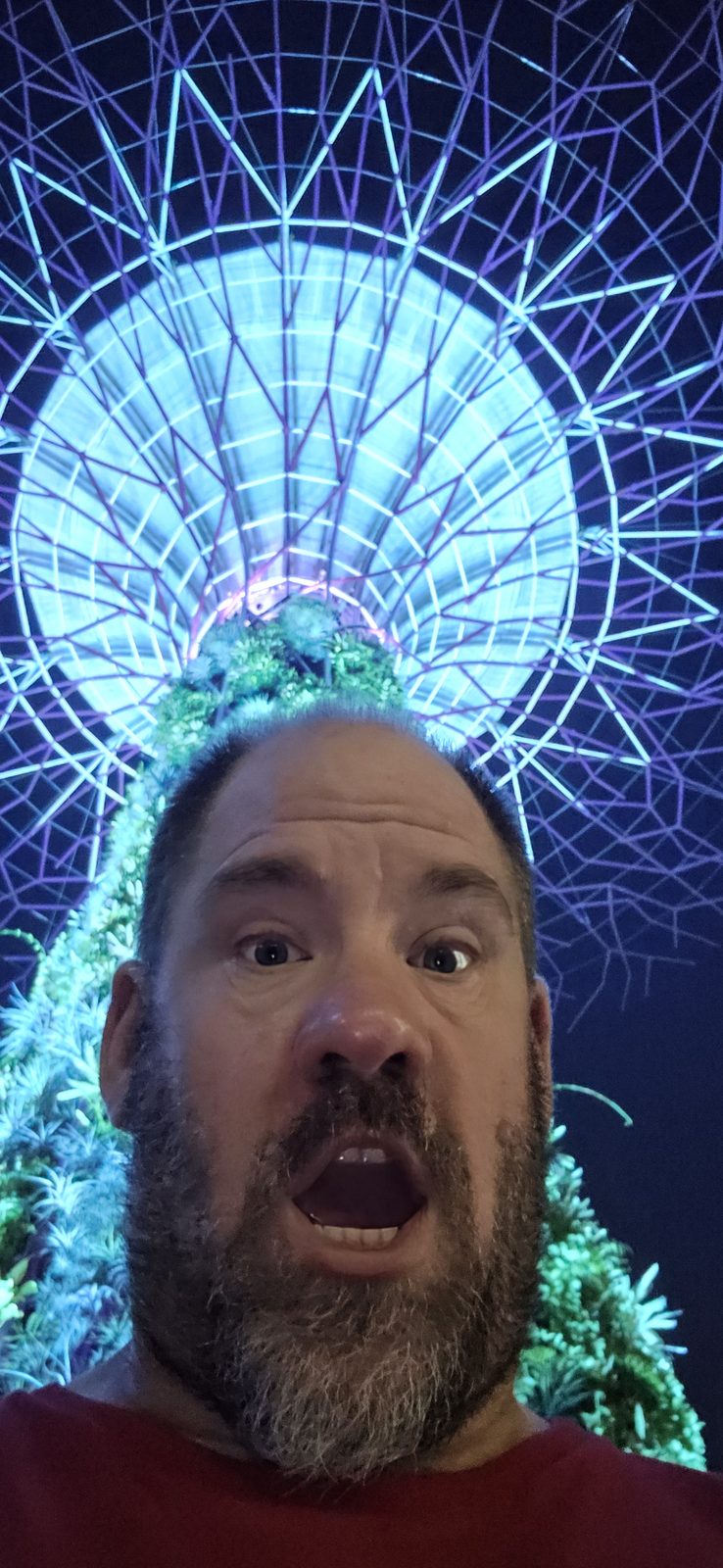 Goofing around under the glowing Supertrees