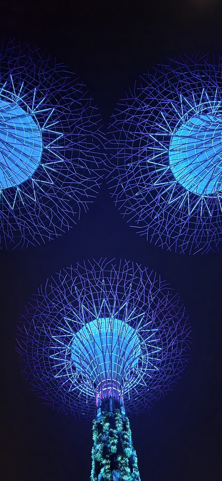 Looking straight up at a blue Supertree at Gardens by the Bay