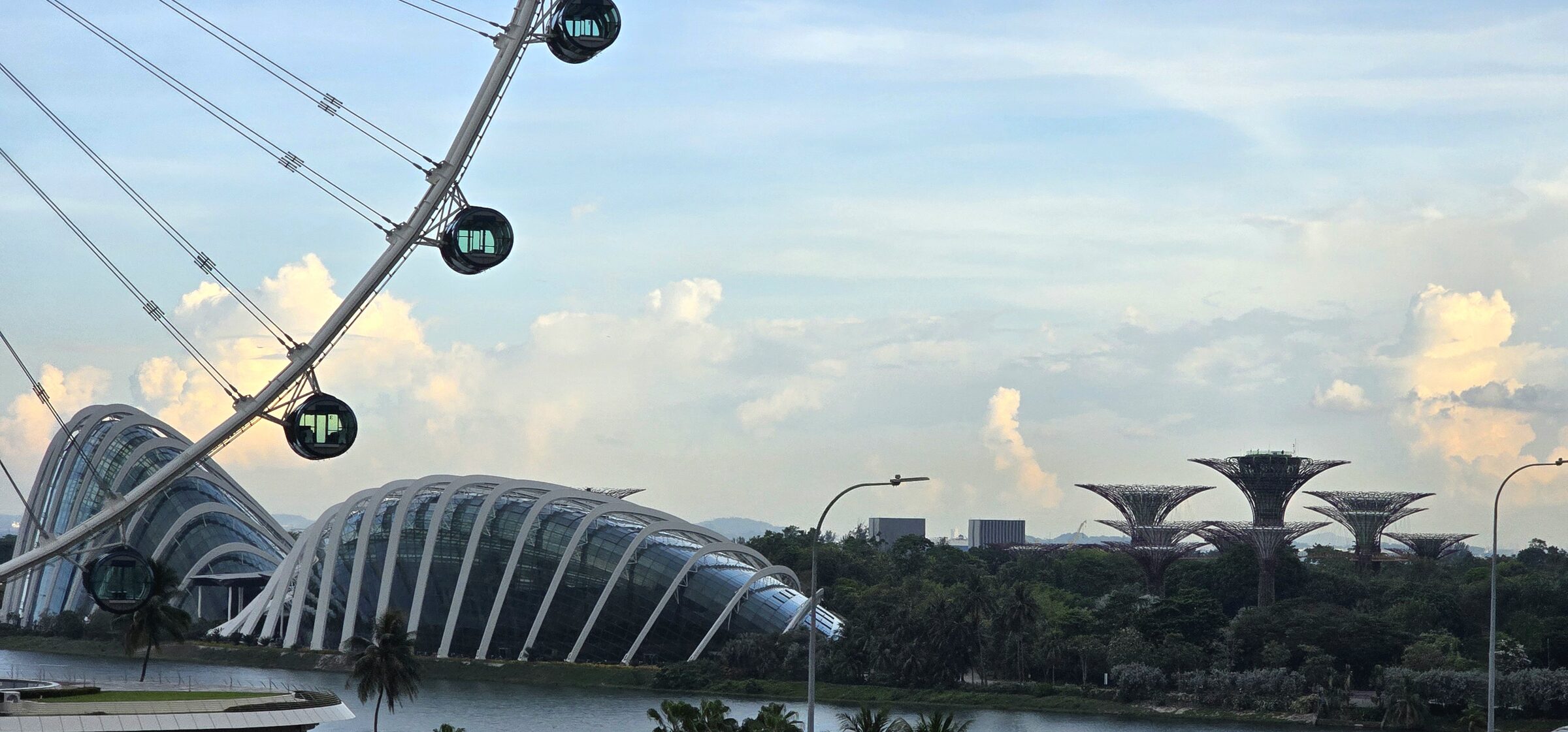 The domes, the Supertrees and the Singapore Flyer