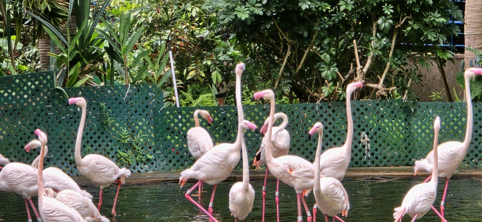 Kowloon Park, Hong Kong