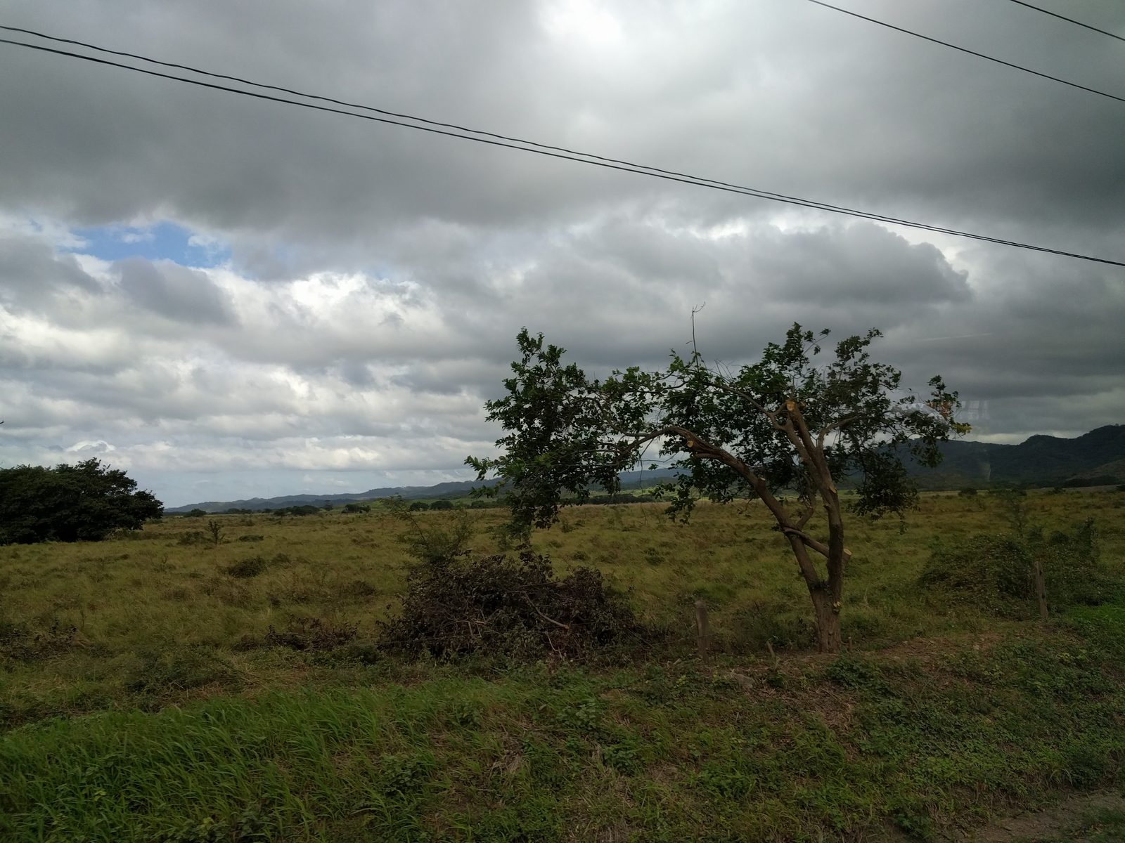 Countryside along the drive