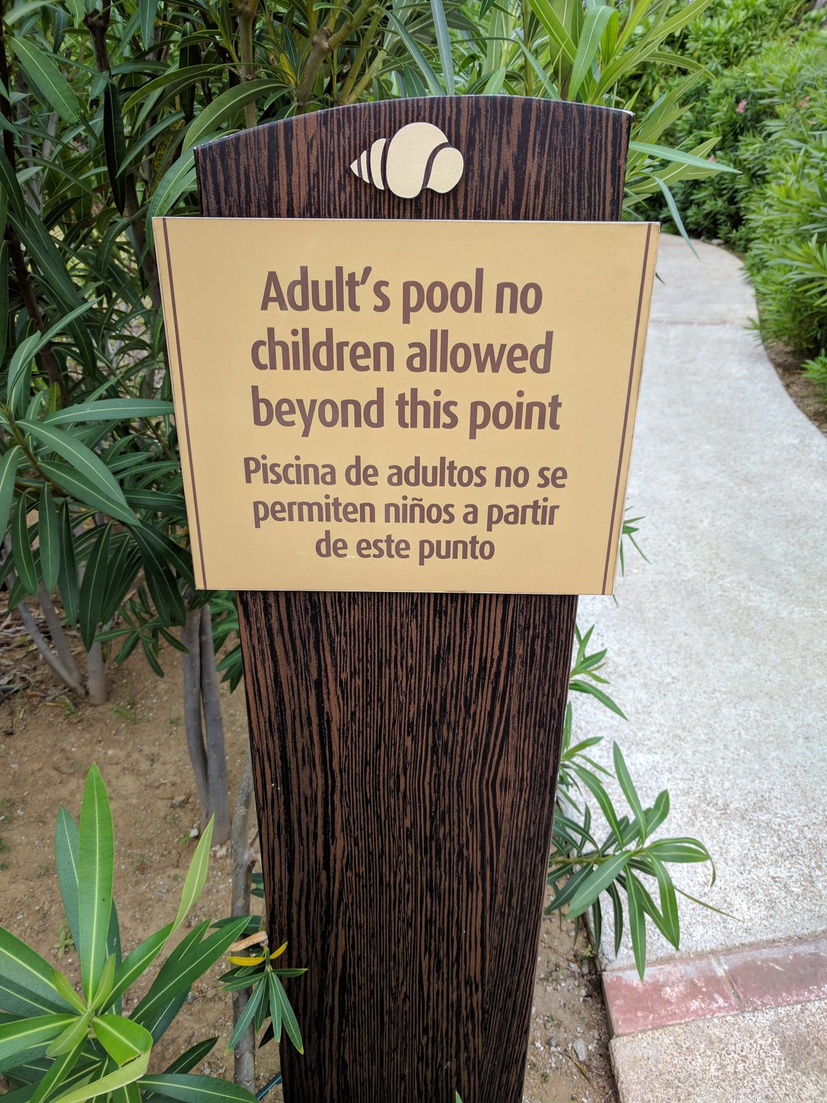 Adult pool, no children allowed