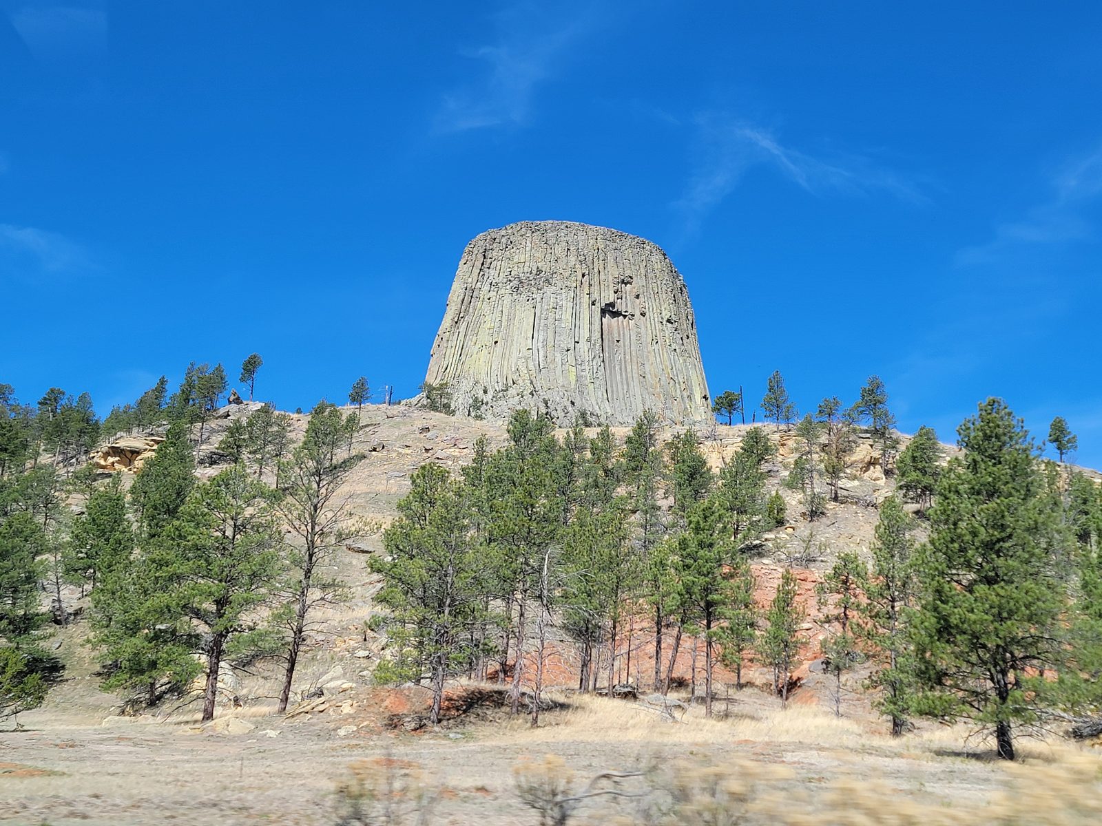 Devils Tower from the meadow