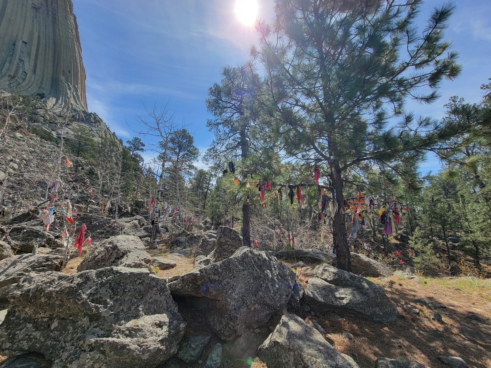 Prayer cloths tied along the trail