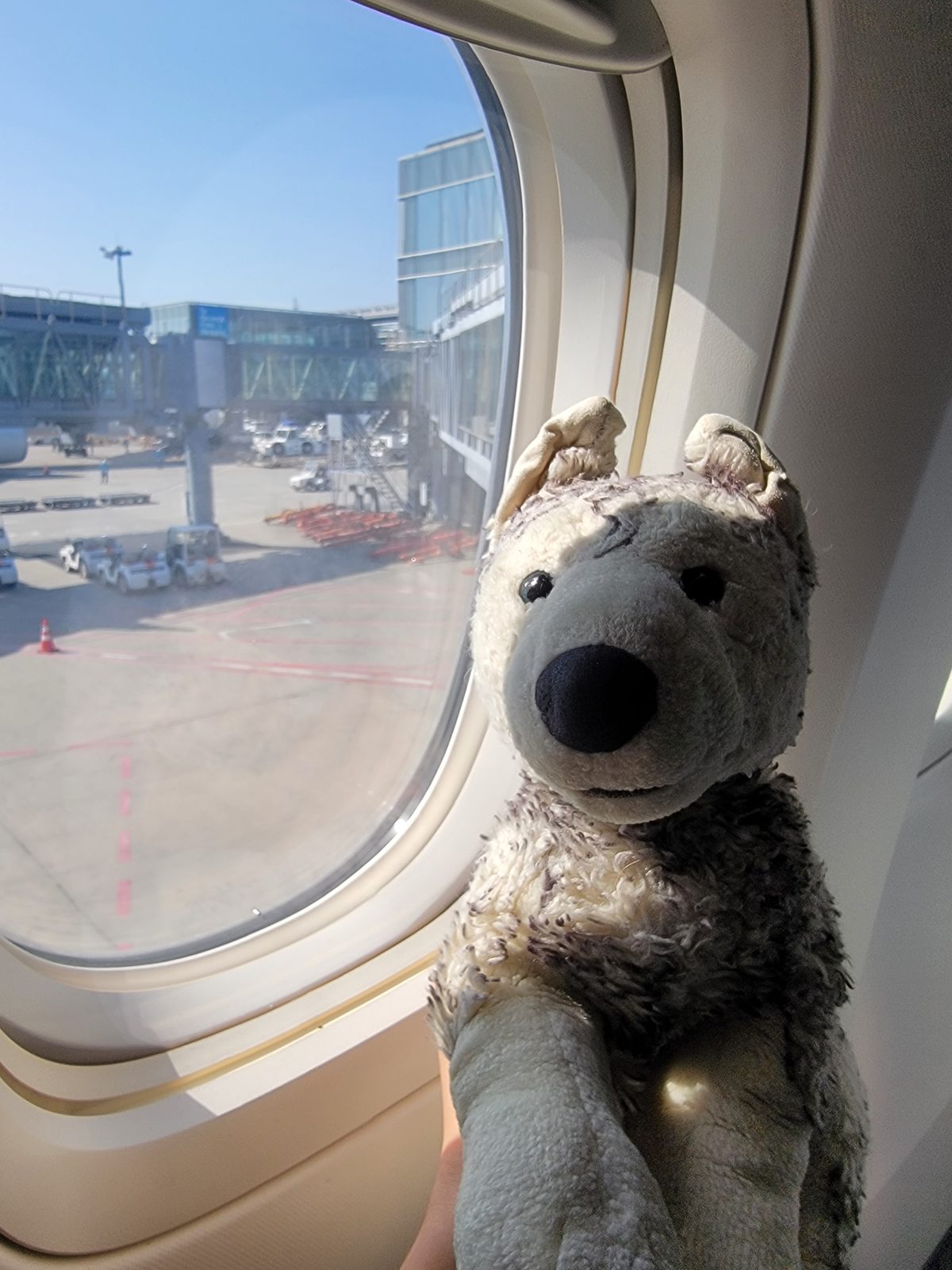 A window seat for Bob