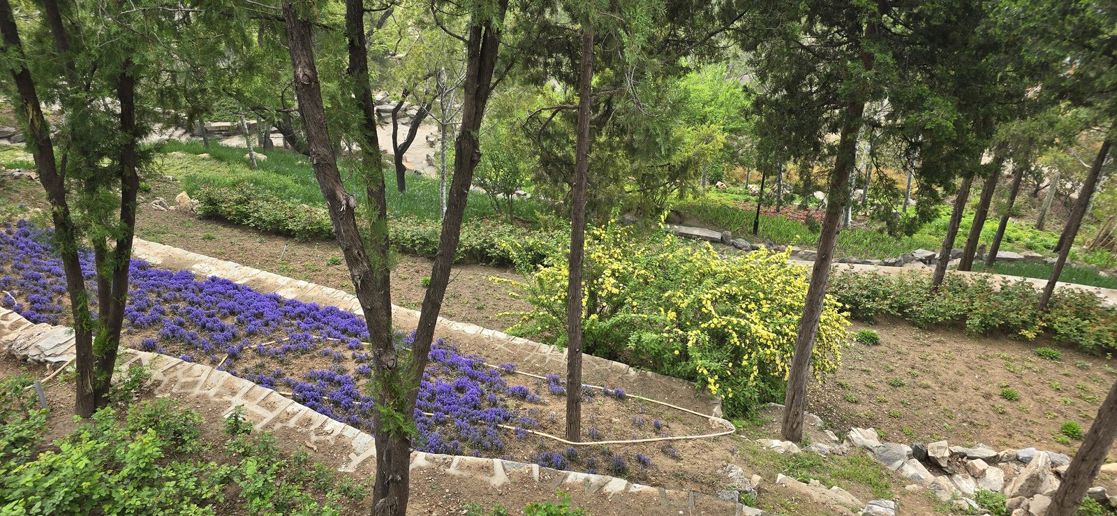 Flower beds and rock paths in Dongdan Park