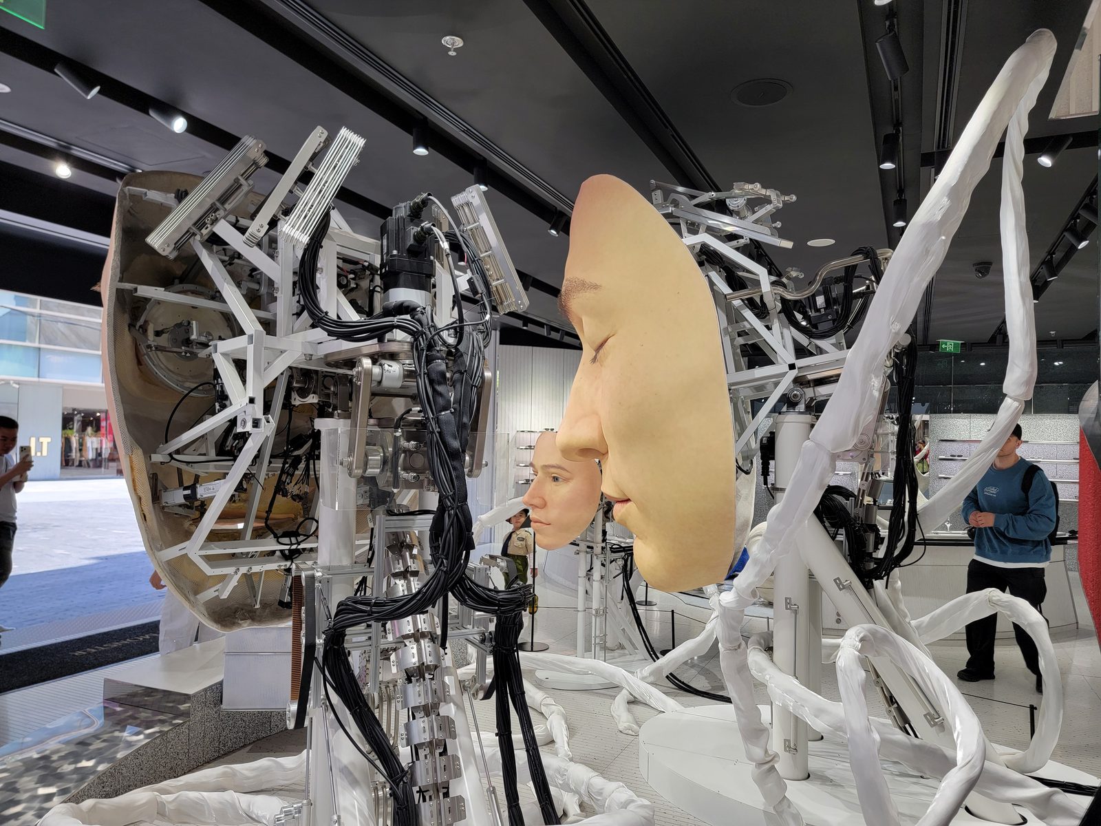 Mannequin heads in a shop window