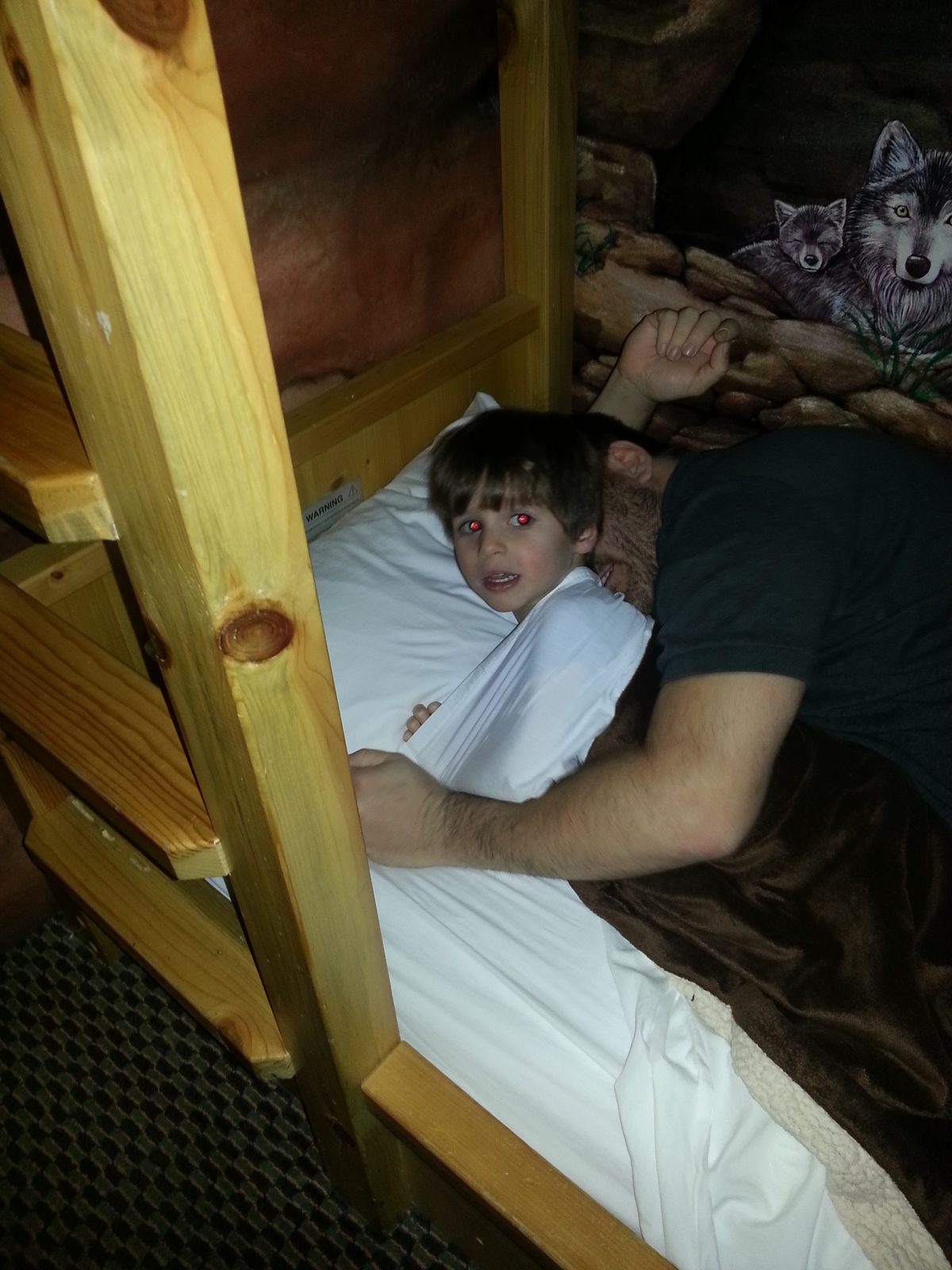 Tucked into the bunkbed fort for the night